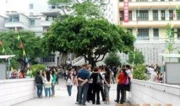 重庆秀山高中爆料案件最新,真相揭开，校园安全再引关注”