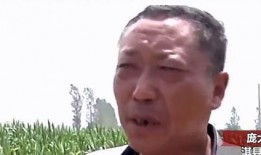 汾阳吃瓜最新事件爆料是真的吗,真相揭秘还是网络谣言？