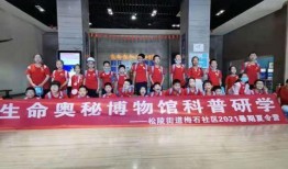 吴江爆料视频最新消息今天,揭秘惊人内幕，真相令人震惊！