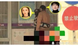 娱乐圈最新反腐爆料,揭秘明星背后的权力游戏