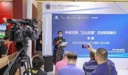 天下ip最新爆料是什么,揭秘热门IP背后的秘密与未来走向